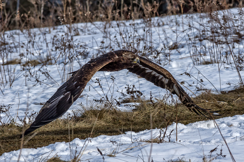 In flight by Steve Tugwell